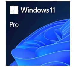 Slika izdelka: DSP Windows 11 Professional 64bit, slovenski